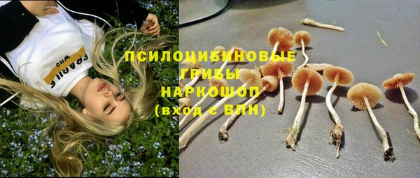 меф Алзамай