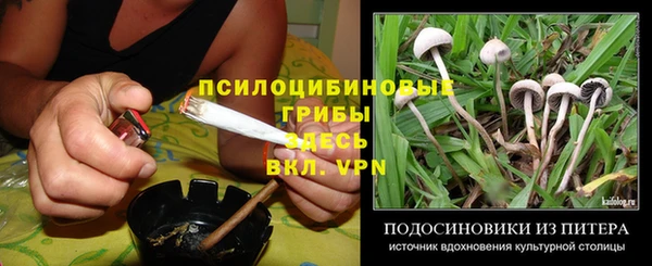 соль ск Алексеевка
