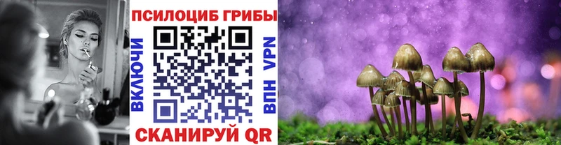 Псилоцибиновые грибы Psilocybe  Полевской 